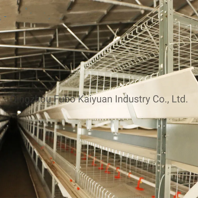 Poultry Cage System/Poultry Farm Equipment for Broiler /Layer/Chicken