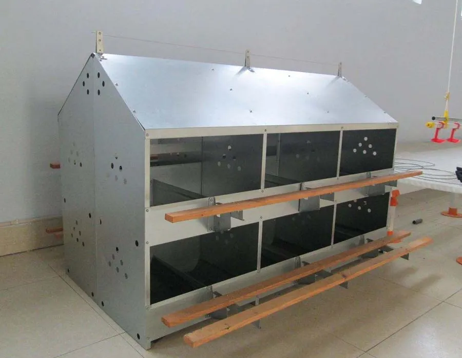 Poultry Equipment Automatic Chicken Egg Nest Box Individual Holes