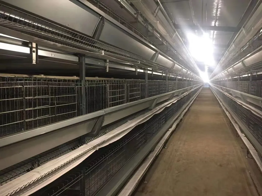 Poultry Farm Cages Hot Sale Uganda Layer Farm Chicken Cage for Poultry Equipment Hot Dipped Galvanized Wiremeshes