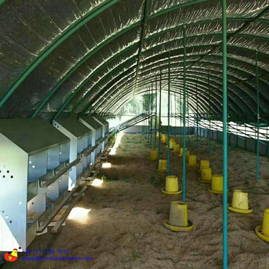 Poultry Farm Manual Egg Collection Box/Laying Nest Box