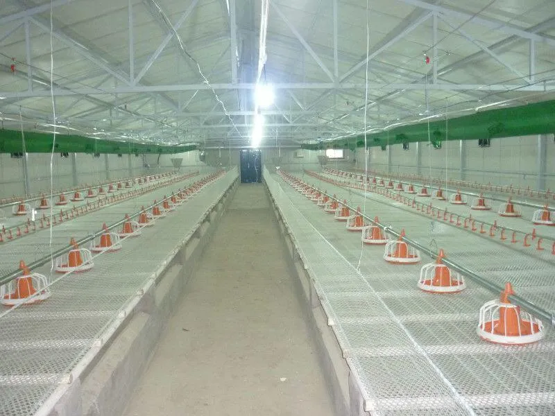 Poutlry Farm Equipment Automatic Chicken Broiler Feeding Pan System