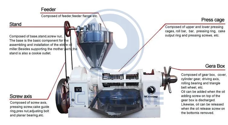 Professioanl Manufacturer Vegetable Seeds Double Screw Oil Press