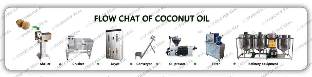 Professioanl Manufacturer Vegetable Seeds Double Screw Oil Press