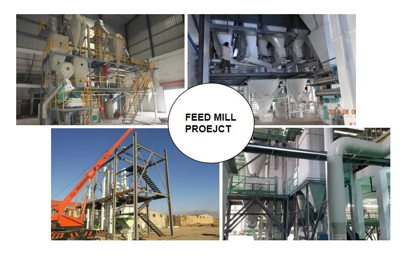 Professional Manufacturer Pellet Making Machine /Poultry Equipment /Feed Mill Machine 1-2tph
