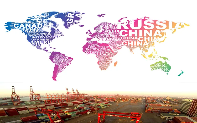 Quinoa, Maize, Mung Bean Seed Cleaning Processing Machine 5xfz-15bxtm