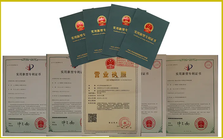 Quinoa, Maize, Mung Bean Seed Cleaning Processing Machine 5xfz-15bxtm