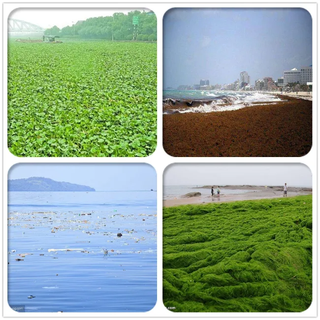 River Aquatic Weed Cleaning Harvester
