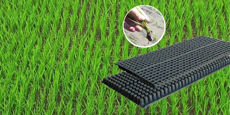 Save Time Continuous Ditching Seeder for Rice Seedling Field