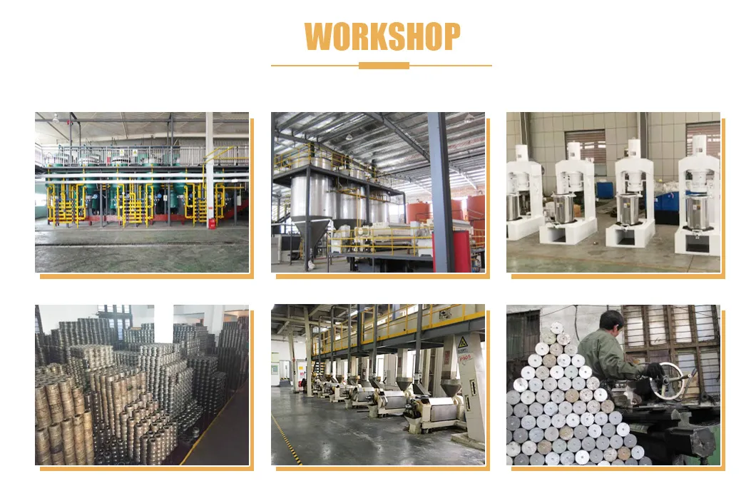 Simple Operation Cold Soybean Soybean Peanut Cold Press Machine with Skillful Manufacture