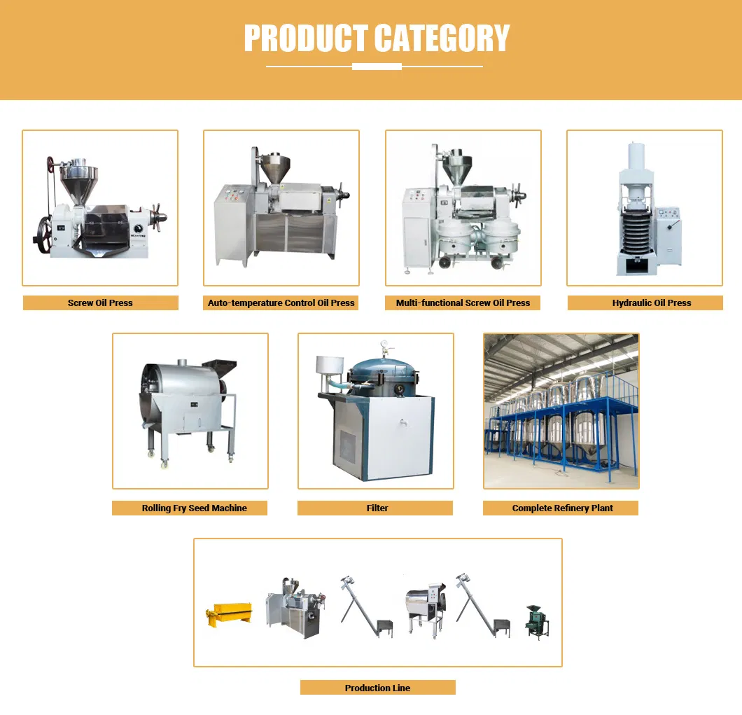 Simple Operation Cold Soybean Soybean Peanut Cold Press Machine with Skillful Manufacture