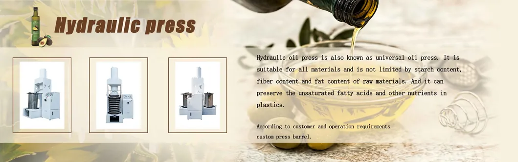 Simple Operation Cold Soybean Soybean Peanut Cold Press Machine with Skillful Manufacture