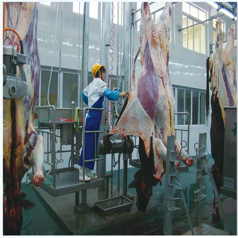 Slaughter Equipment/Cattle Bovine Beef/Cattle Knife