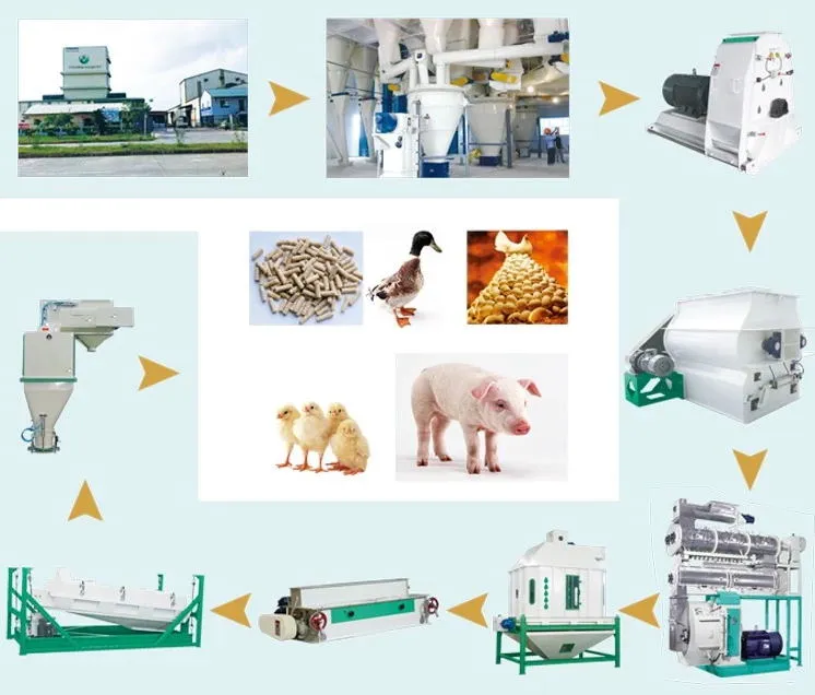 Small Capacity Chicken Feed Pellet Machine Fish Feed Extruder Price Soybean Puffing Machine for Animal Feed Making Plant