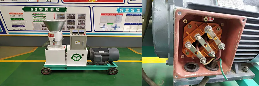 Small Farm Poulrty Feed Pellet Machinery Hot Sale in Kenya