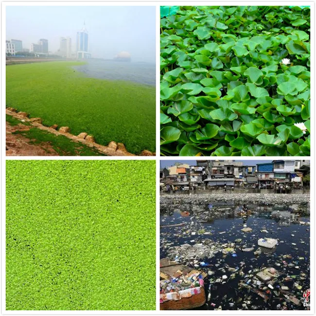 Small River Harvester Manufacturers for Sale