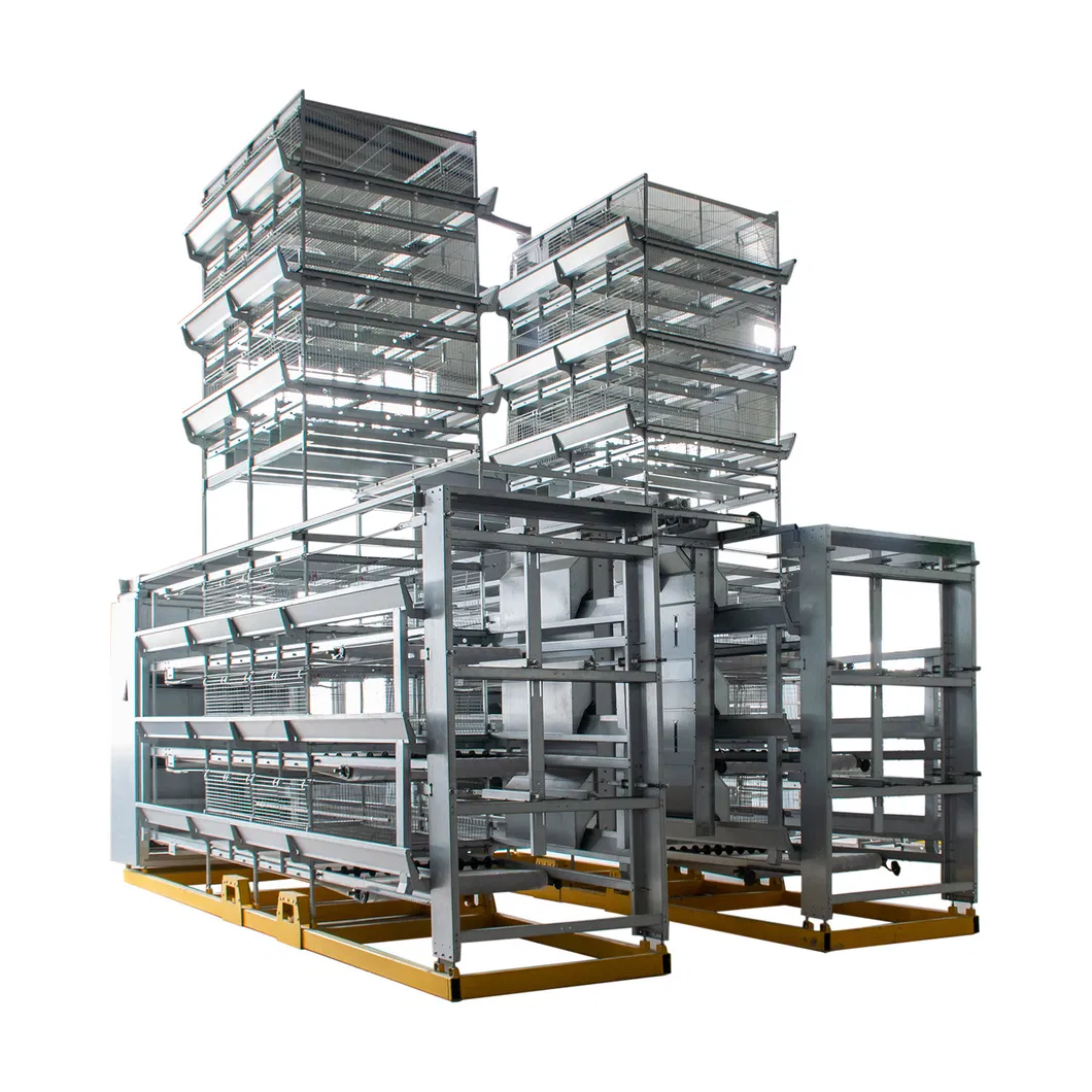 South Africa Hot Sale Layer Chicken Cage for Chicken Farm