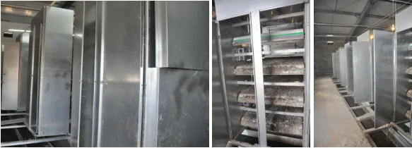 South Africa Hot Sale Layer Chicken Cage for Chicken Farm