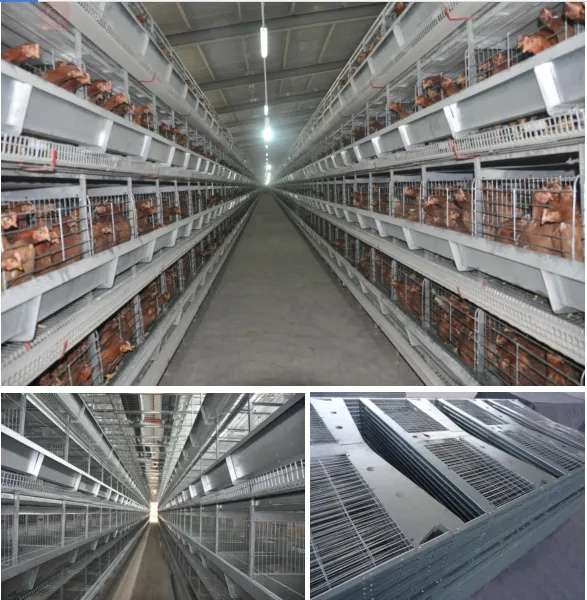 South Africa Hot Sale Layer Chicken Cage for Chicken Farm