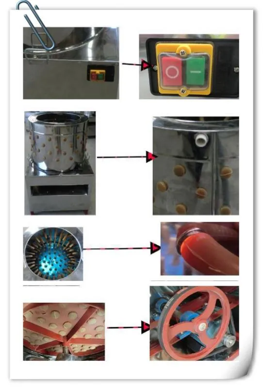 Stainless Steel Chick Plucking Machine Chicken Plucker Bird Hair Removal Machine Electric Pigeon Poultry Farm Machinery Price for Sale