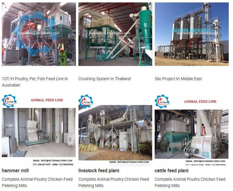 Sugarcane Bagasse Waste Alfalfa Grass Straw Pellets Production Line