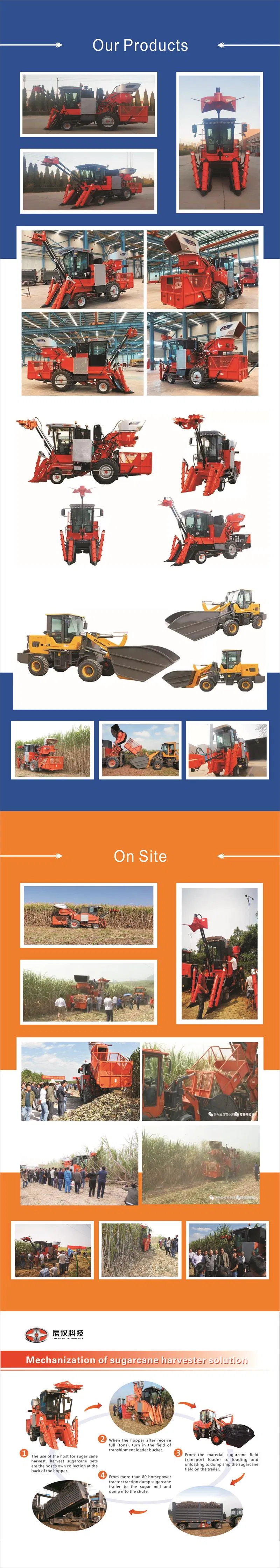 Sugarcane Leaf Remover for Removing Sugar Cane Leaves, Sugarcane Cutter/Cutting Machine