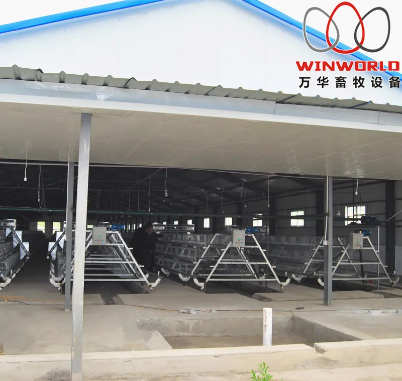 Togo Poultry Farm A Type Battery Broiler Cage with 108 Birds & Chicken Cage with Hot Galvanized for Sale