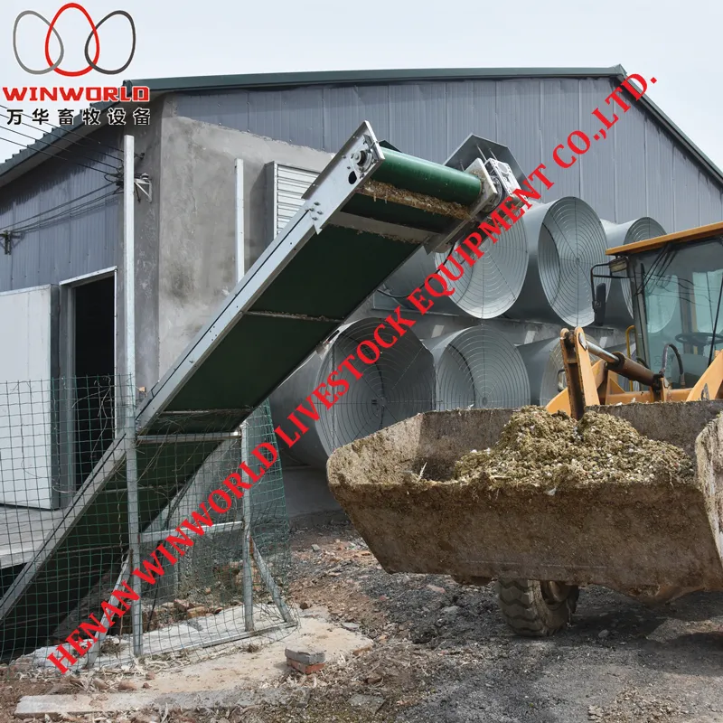Uganda Poultry Farm Project A Frame Chicken Layer Cage with Automatic Chicken Manure Removal Machine