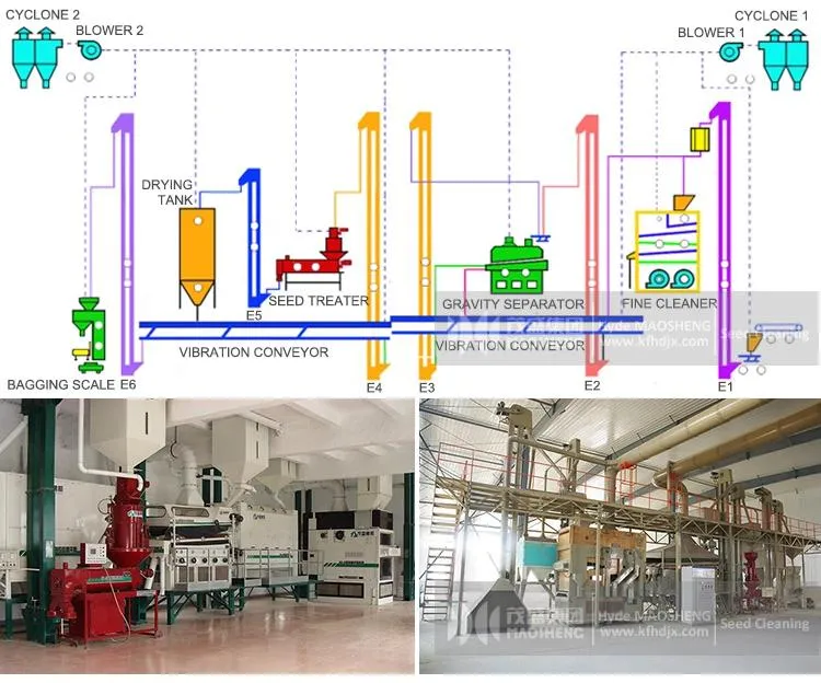 Wheat Seed Coating Machine for Seed Processing Line