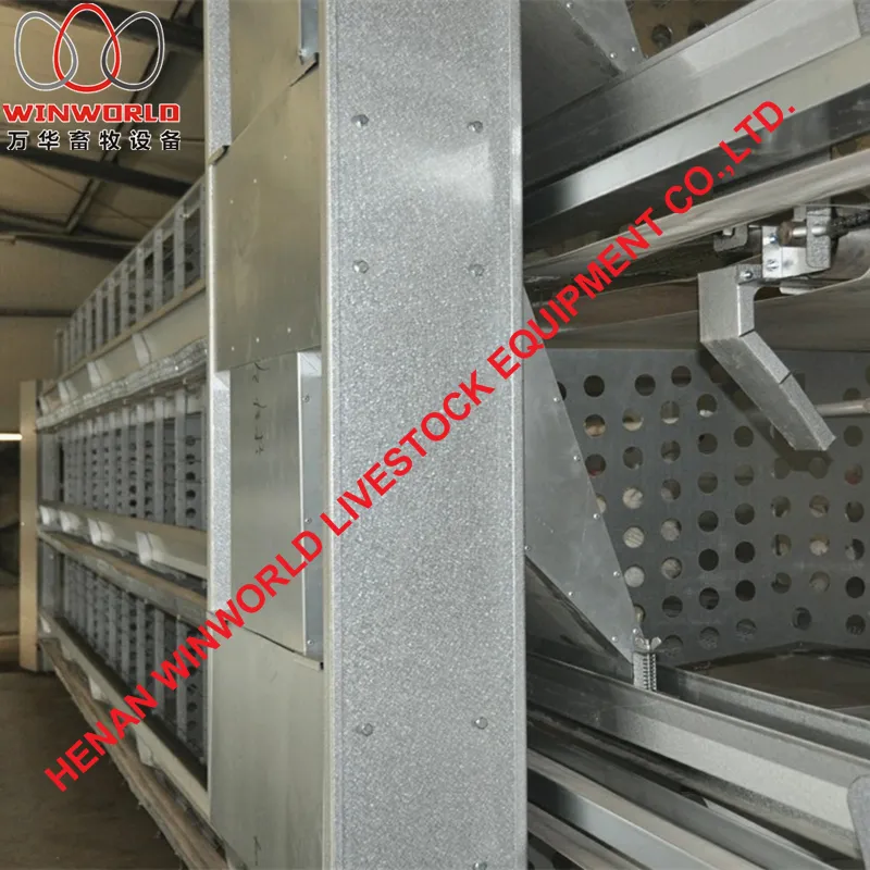 Zimbabwe Full Automatic H Frame Layer Breeder Chicken Cage Equipment for Poultry Farm