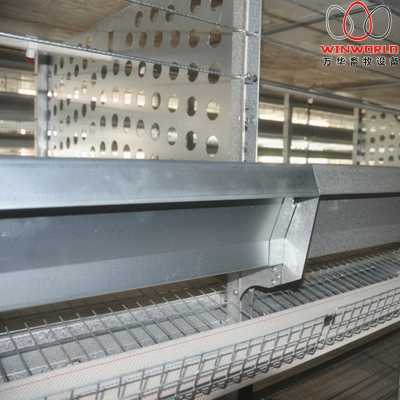 Zimbabwe Full Automatic H Frame Layer Breeder Chicken Cage Equipment for Poultry Farm