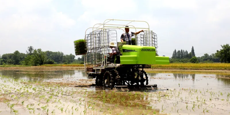 Zoomlion 13 Row Rice Seedlings Throwing Planter